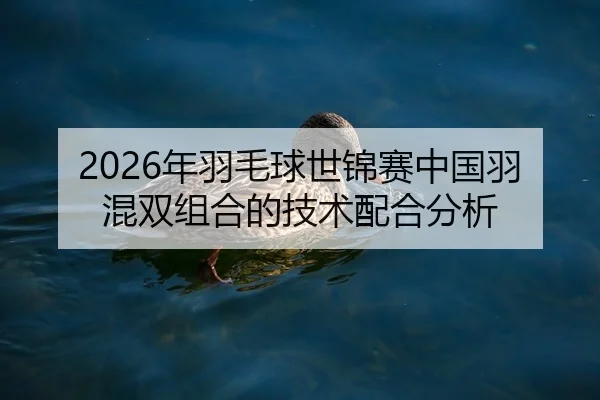 2026年羽毛球世锦赛中国羽混双组合的技术配合分析