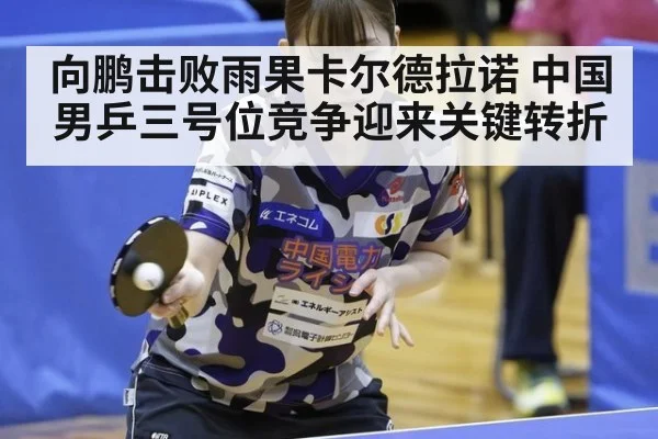 向鹏击败雨果卡尔德拉诺 中国男乒三号位竞争迎来关键转折